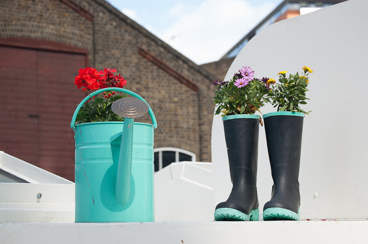 6 items you can recycle and turn into gardening products