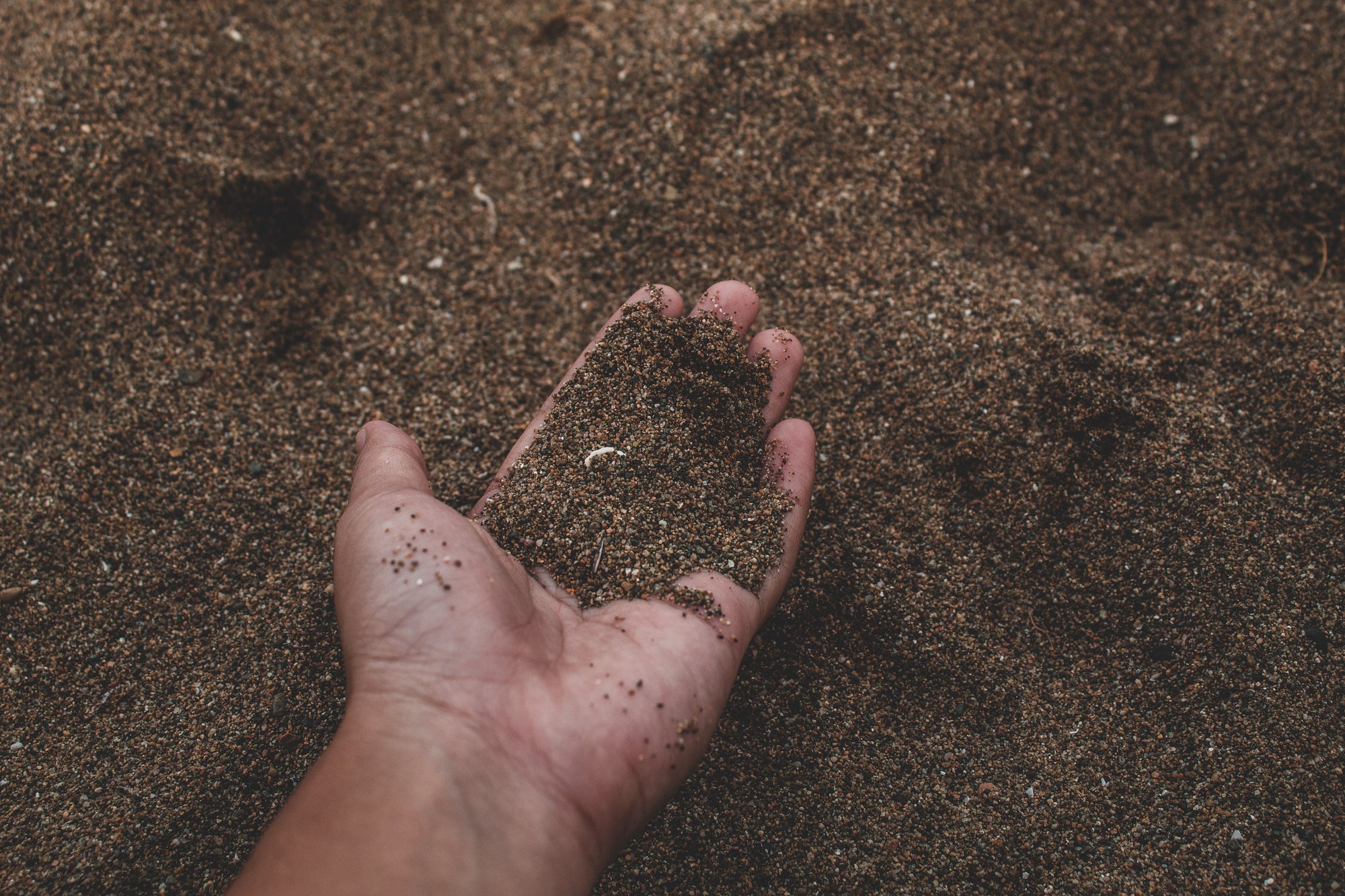Getting to know your soil