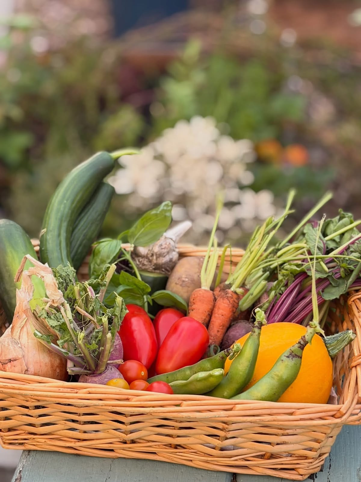 Growing food in the School Garden