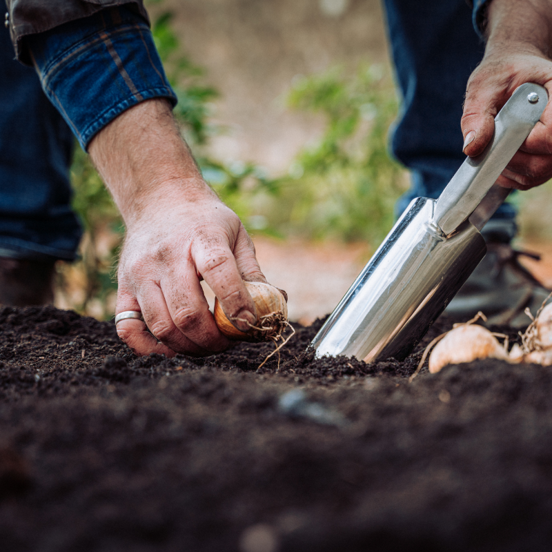 Gardening with New Leaf Compost