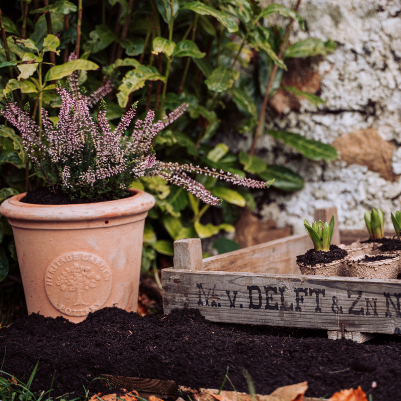 Potting & Planting with New Leaf Compost